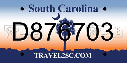 D876703 South Carolina License Plate