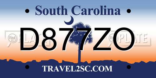D877ZO South Carolina License Plate