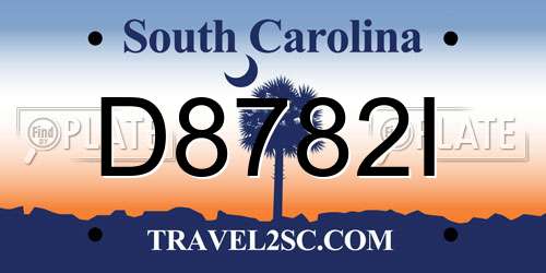 D8782I South Carolina License Plate