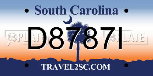 D8787I South Carolina License Plate