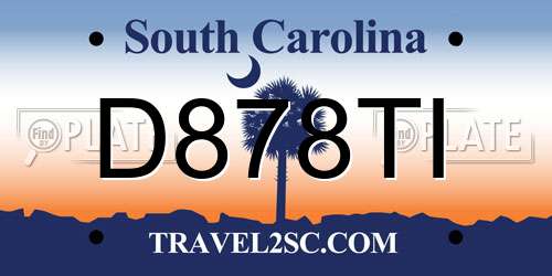 D878TI South Carolina License Plate