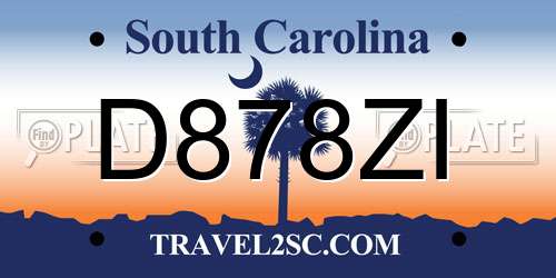 D878ZI South Carolina License Plate