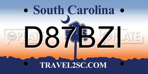 D87BZI South Carolina License Plate