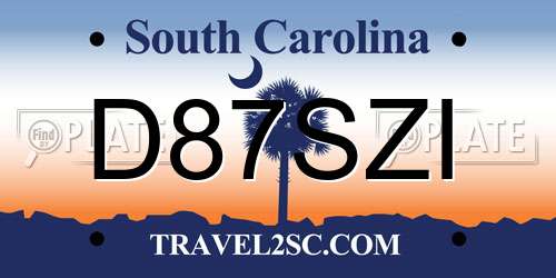 D87SZI South Carolina License Plate