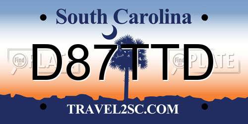 D87TTD South Carolina License Plate