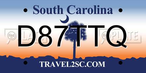 D87TTQ South Carolina License Plate