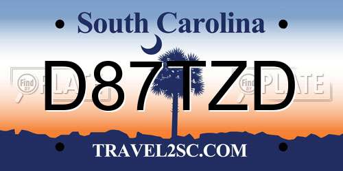 D87TZD South Carolina License Plate