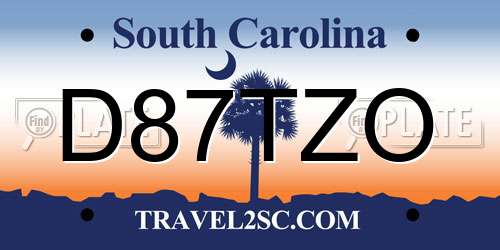D87TZO South Carolina License Plate