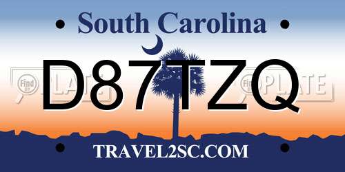 D87TZQ South Carolina License Plate