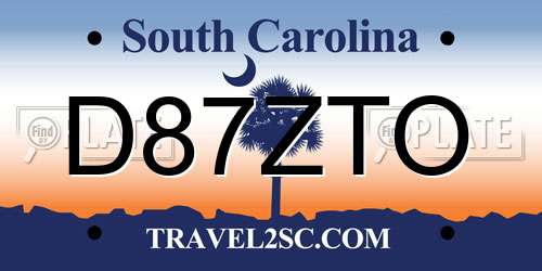 D87ZTO South Carolina License Plate