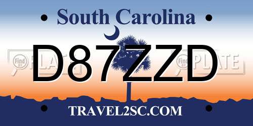 D87ZZD South Carolina License Plate