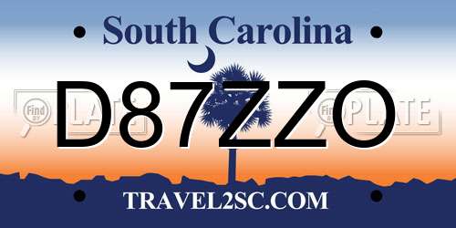 D87ZZO South Carolina License Plate