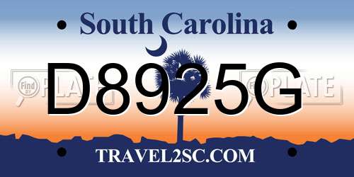 D8925G South Carolina License Plate