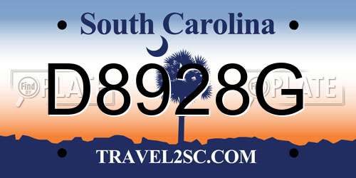 D8928G South Carolina License Plate