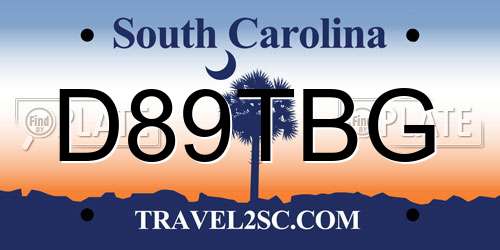 D89TBG South Carolina License Plate