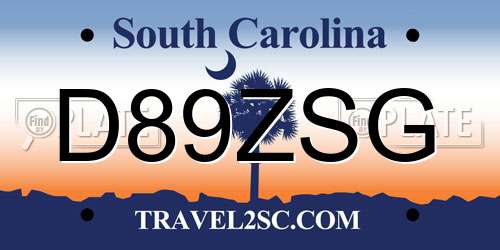 D89ZSG South Carolina License Plate