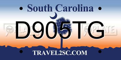 D905TG South Carolina License Plate