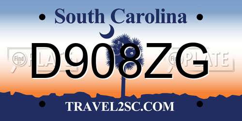 D908ZG South Carolina License Plate