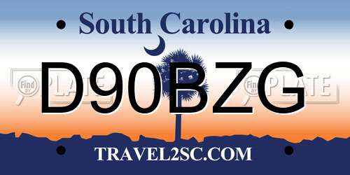 D90BZG South Carolina License Plate
