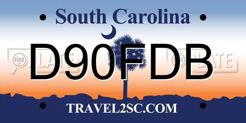 D90FDB South Carolina License Plate