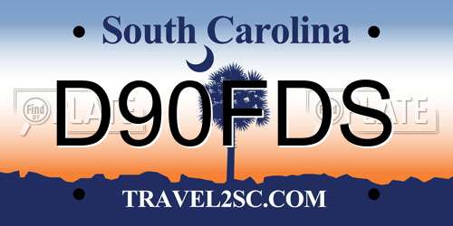 D90FDS South Carolina License Plate