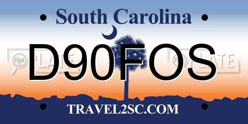 D90FOS South Carolina License Plate