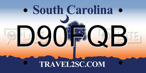D90FQB South Carolina License Plate