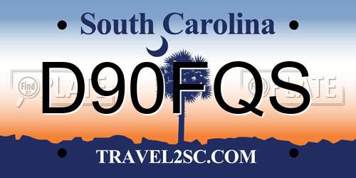 D90FQS South Carolina License Plate