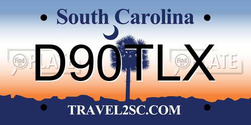 D90TLX South Carolina License Plate