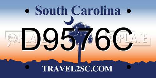 D9576C South Carolina License Plate