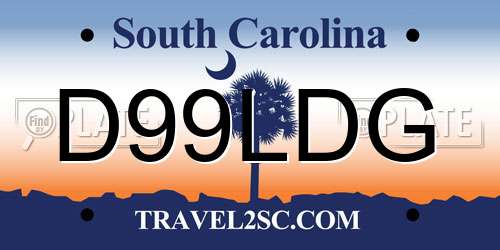 D99LDG South Carolina License Plate