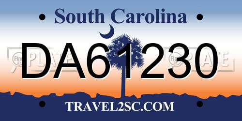 DA61230 South Carolina License Plate