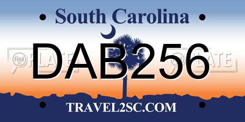 DAB256 South Carolina License Plate