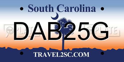 DAB25G South Carolina License Plate