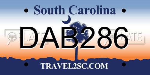 DAB286 South Carolina License Plate