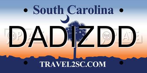 DADIZDD South Carolina License Plate