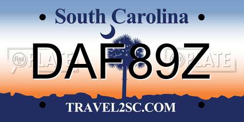 DAF89Z South Carolina License Plate
