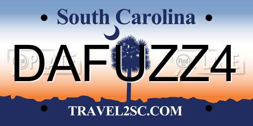 DAFUZZ4 South Carolina License Plate