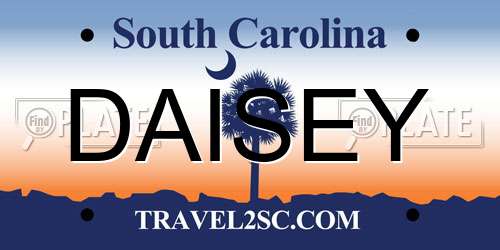 DAISEY South Carolina License Plate