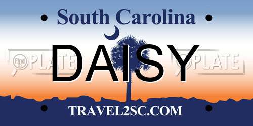 DAISY South Carolina License Plate