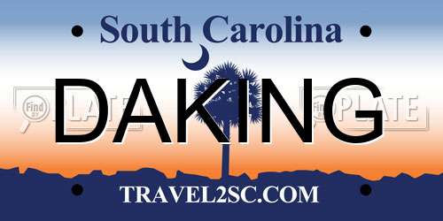 DAKING South Carolina License Plate