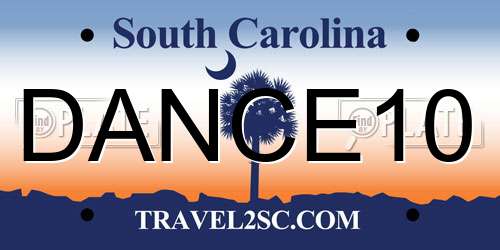 DANCE10 South Carolina License Plate