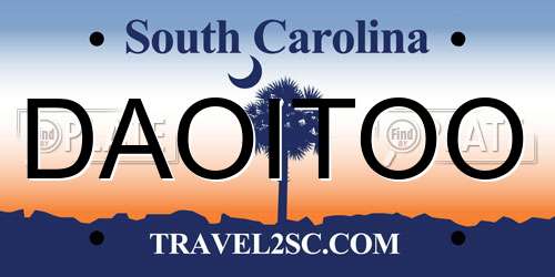 DAOITOO South Carolina License Plate
