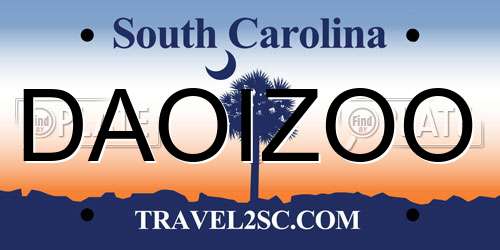DAOIZOO South Carolina License Plate