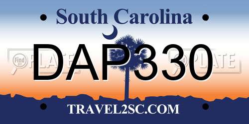 DAP330 South Carolina License Plate