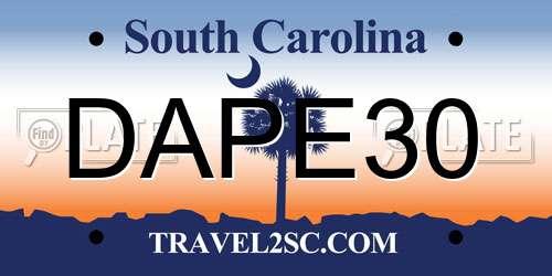DAPE30 South Carolina License Plate