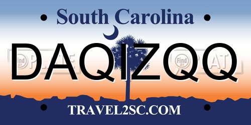 DAQIZQQ South Carolina License Plate