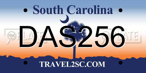 DAS256 South Carolina License Plate