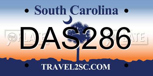 DAS286 South Carolina License Plate