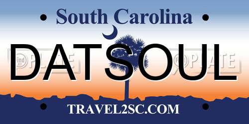 DATSOUL South Carolina License Plate